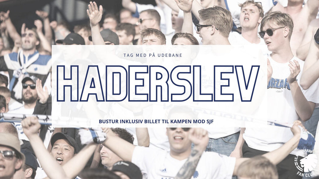 Bustur Haderslev