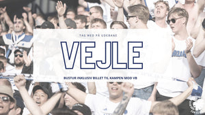 Bustur til Vejle