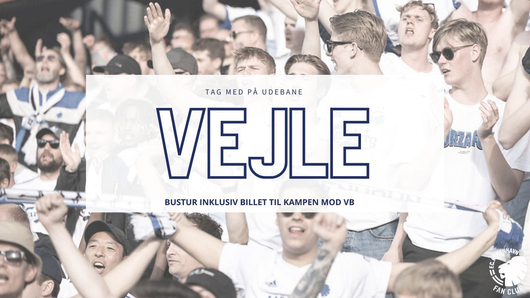Bustur til Vejle